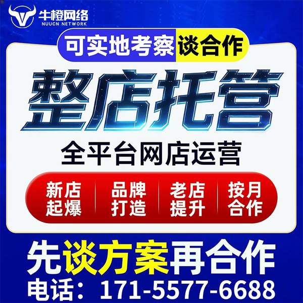 孝感电商代运营