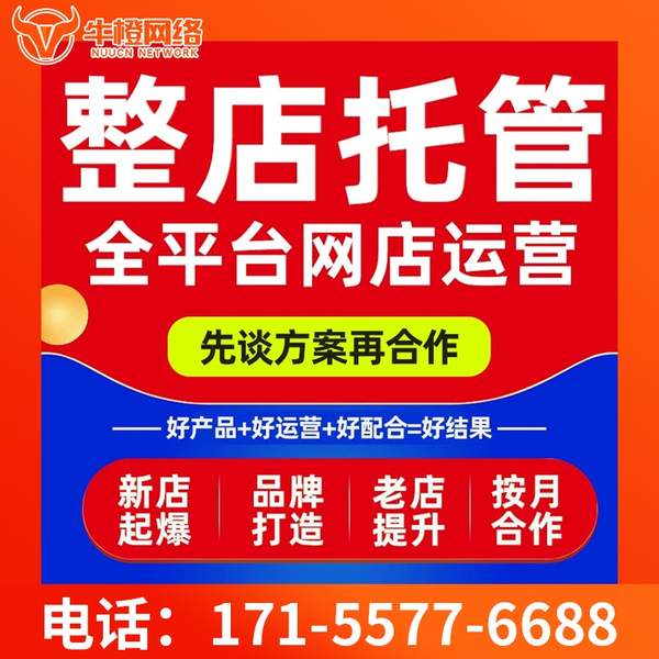 孝感电商代运营
