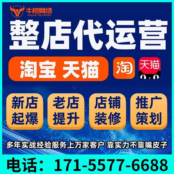 孝感电商代运营