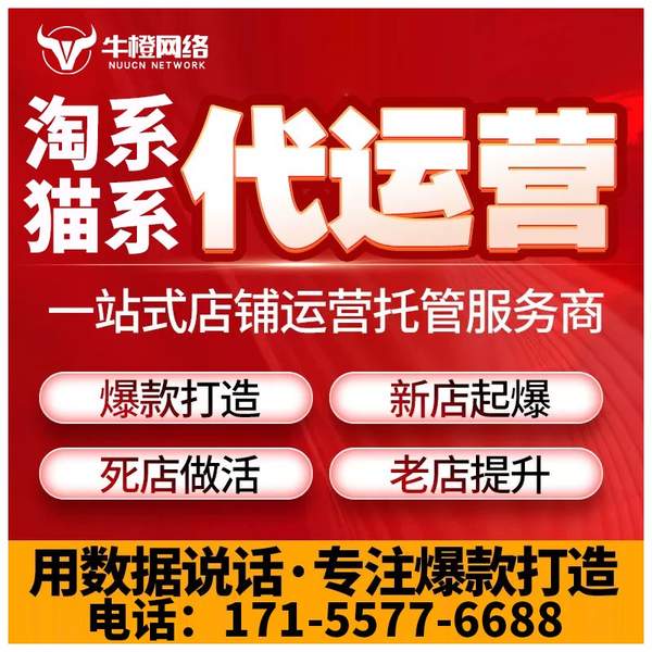孝感电商代运营